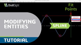 Remove Fit Point in Spline Using Entity Grip Net Worth