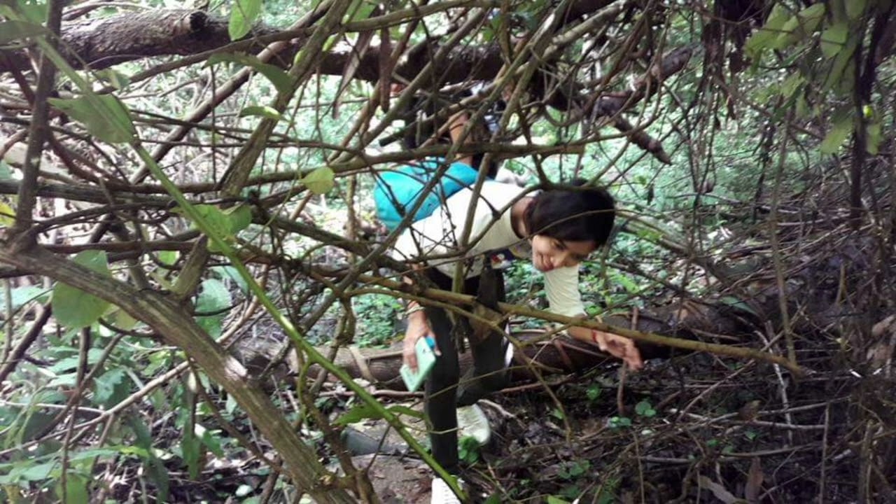 เพลง ศิลป์ศาสตร์ | humtone | coolscooter