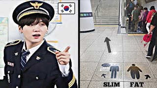Things You Can Only See In South Korea