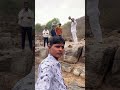 New vlogs