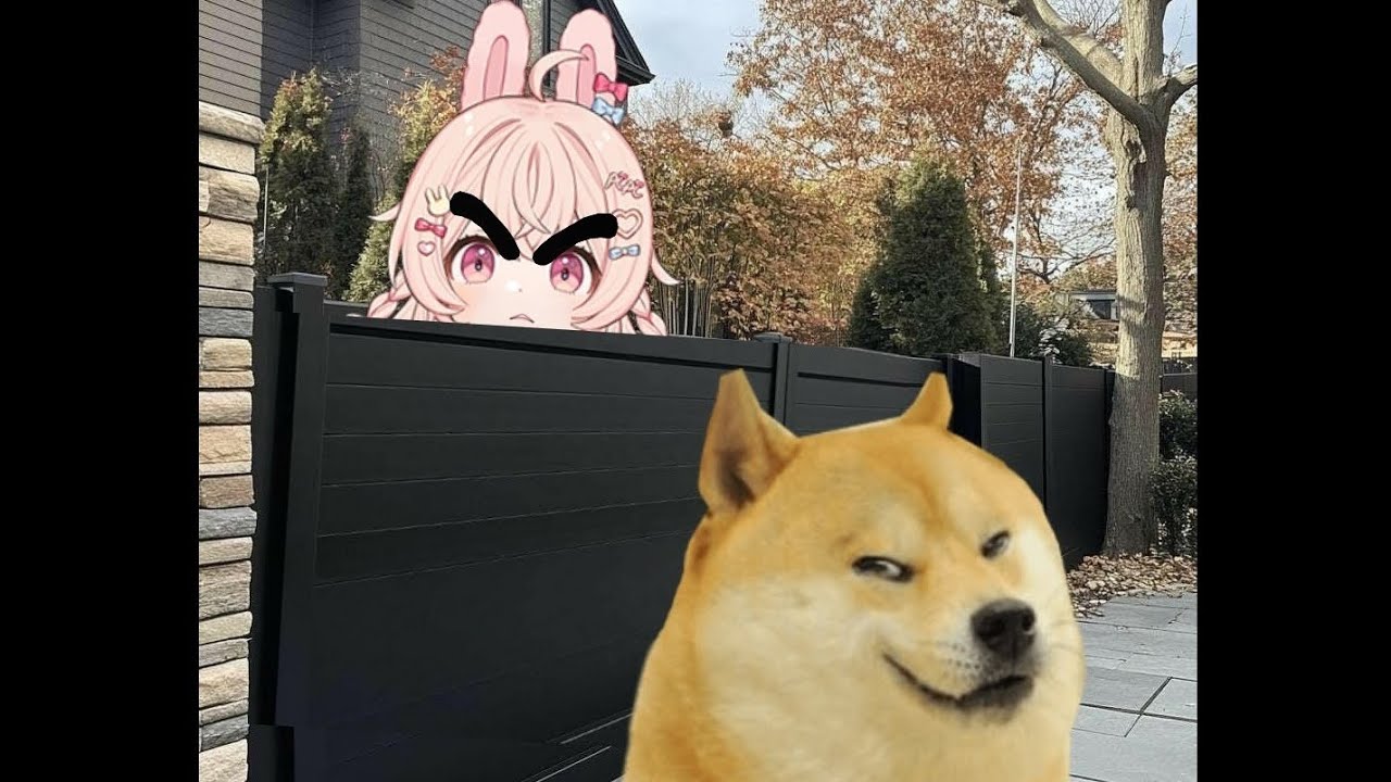 Pippa's dog has become an escape artist.