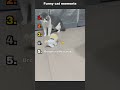 DONT CLICK THE SOUND !!!