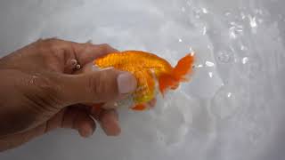 DSC 1364