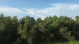Louisiana hunting lease now available on HLRBO!