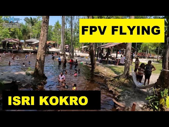 Isri kokro en Relax park, Para, Suriname