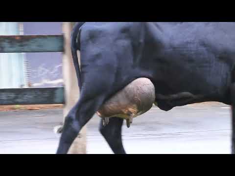 LOTE 23 0723CM