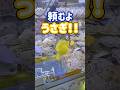 【ちいかわ】景品になってもうさぎはうさぎ　#クレーンゲーム #ufoキャッチャー #ちいかわ #shorts