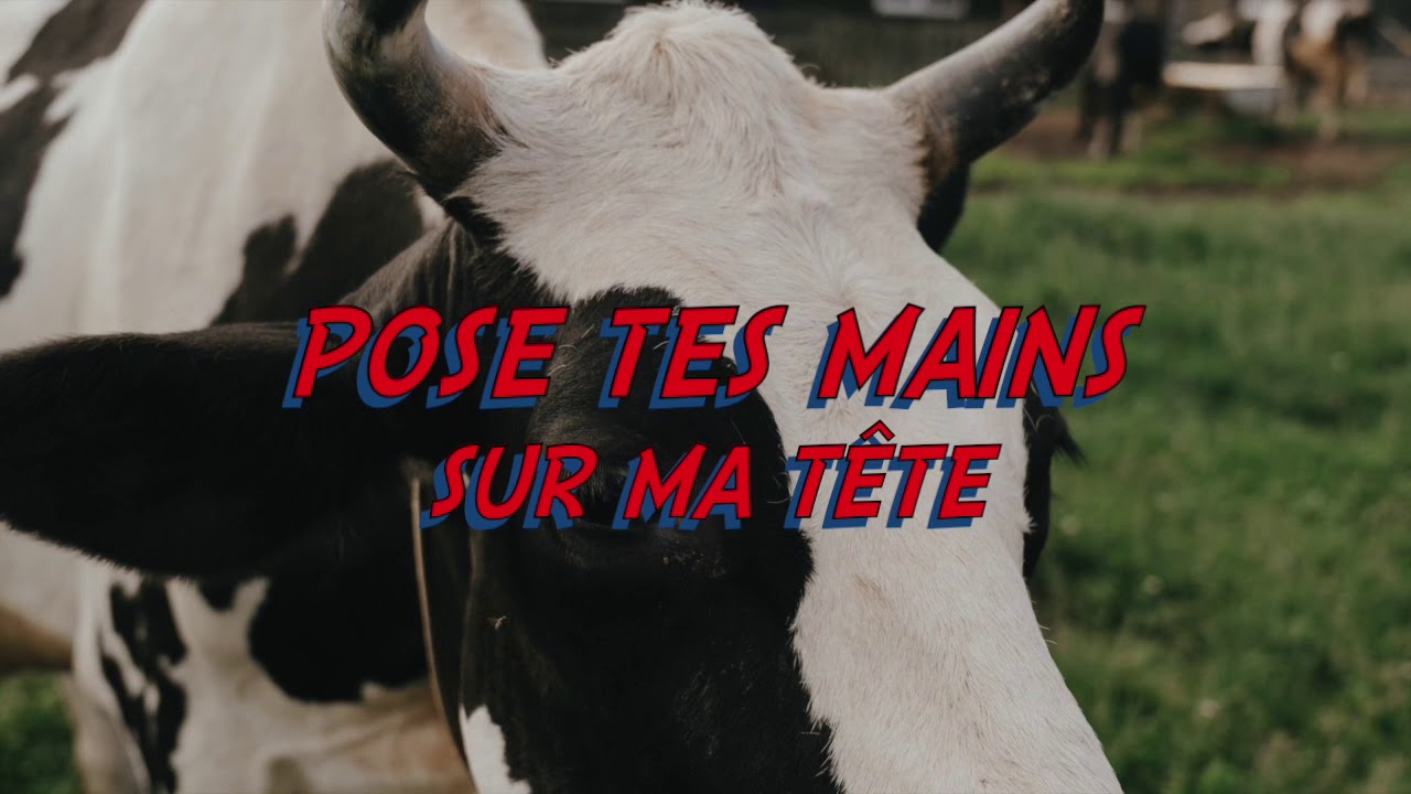 Pose tes mains sur ma tête - Vayikra