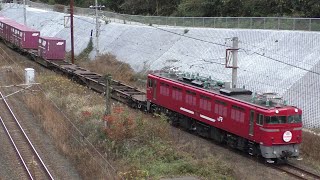 【JR貨物】遅５９レ ＥＤ７６-１０１５ 交通安全運動ＨＭ付き 汽笛あり