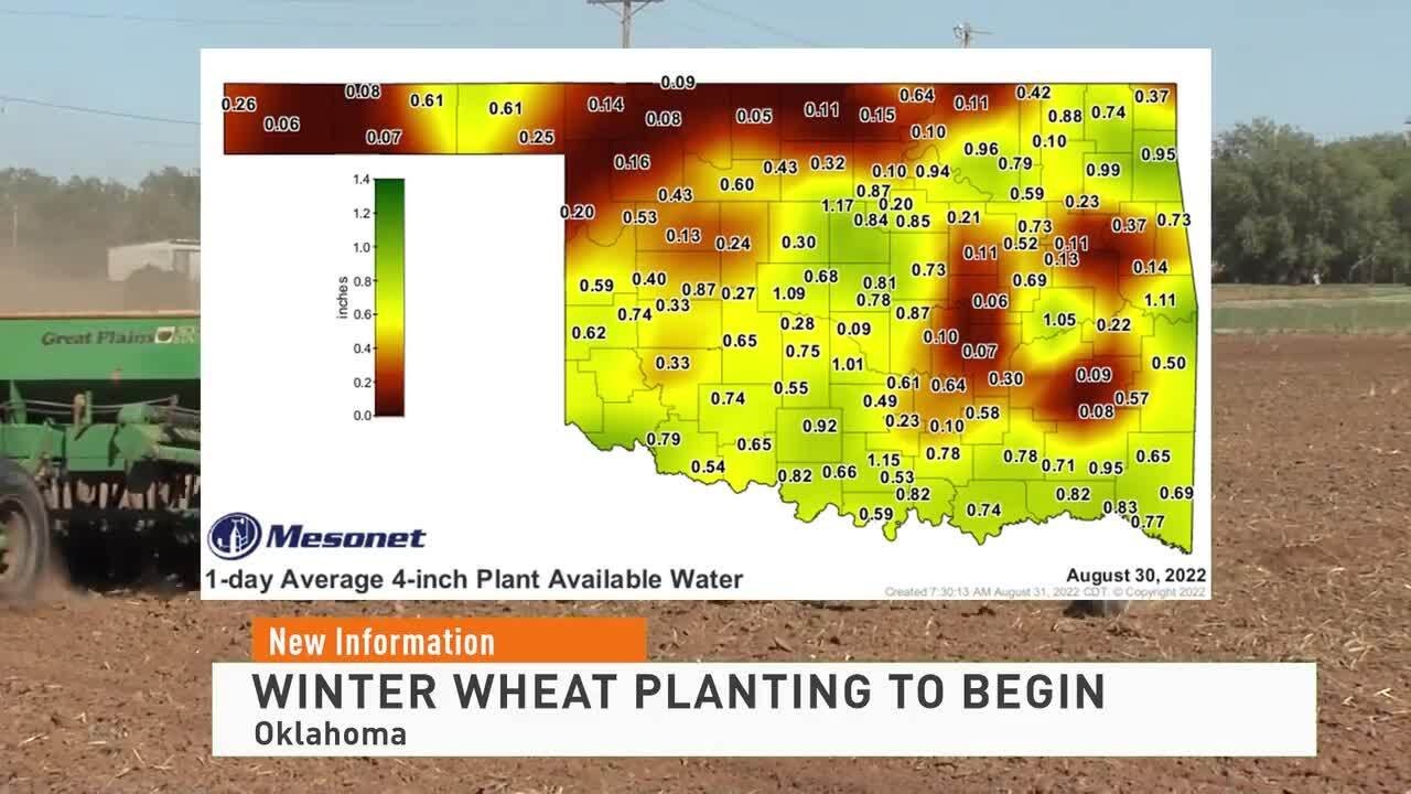 Winter Wheat Planting to Begin in Oklahoma