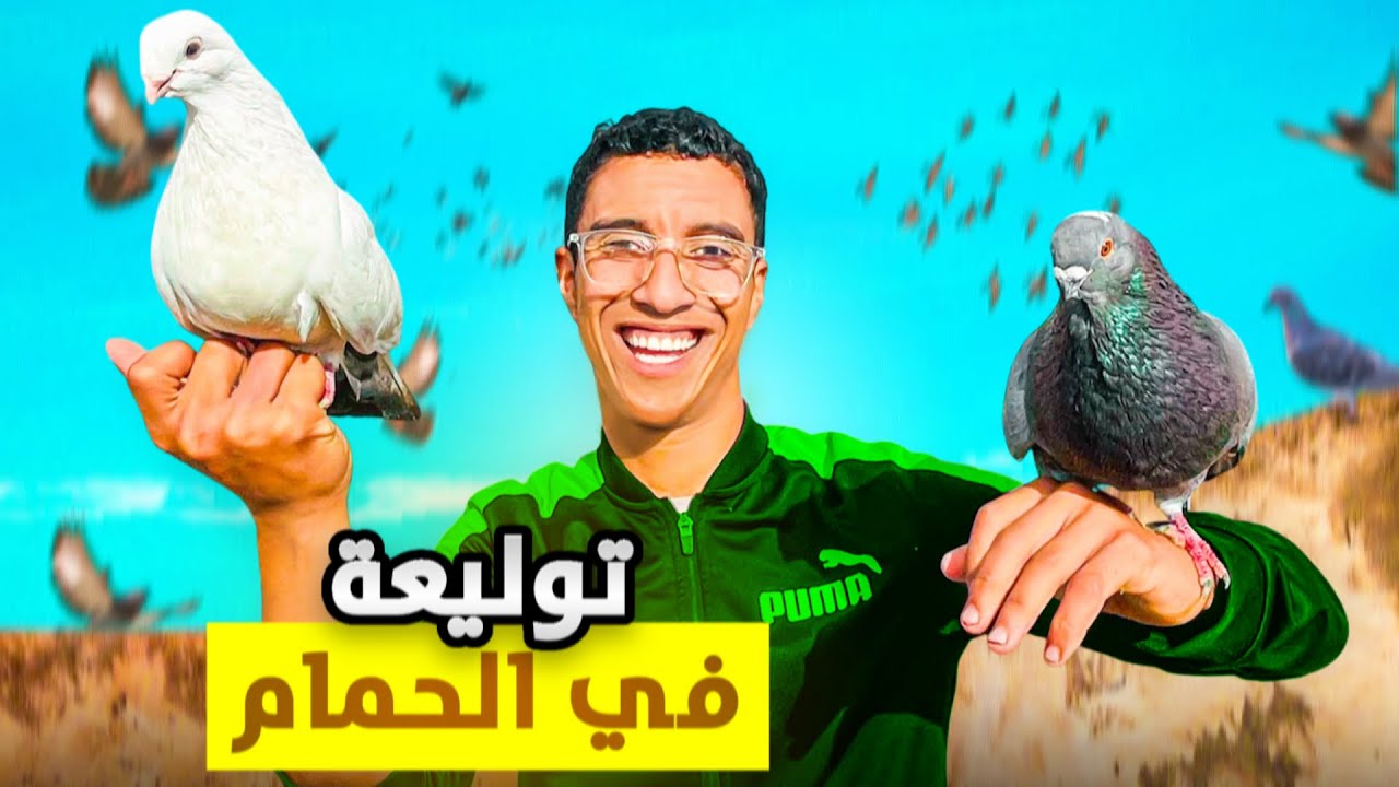 توليعة مع الحمام🕊️سيفيانوس و طاكلة في شتاء🥶و جبت حمام جديد🆕
