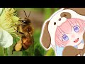 ハチの巣 / 柚葉 Yuzuha　#日本の自然　#生物