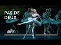 Ballet fragment Olga Smirnova and Constantine Allen [Swan Lake] | Dutch National Ballet
