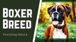 Boxer Breed Breakdown: All You Need to Know by Animella 21 views 5 months ago 4 minutes, 47 seconds