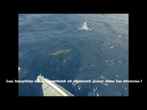 Wacata De Porquerolles en Corse