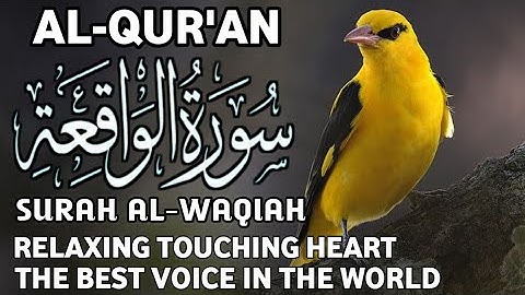 Reading Al-Quran Surah Al-waqiah سورة الواقعة | Soothing Al-Quran | Soft and Heart Touching Voice