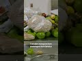 Where Illegal Food Goes To Die 😲