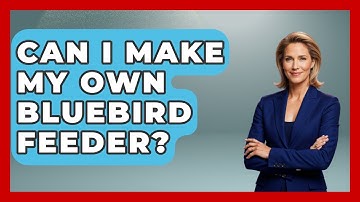 Can I Make My Own Bluebird Feeder? - Bird Watching Diaries