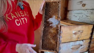 Bad Things Could Happen if we Skip this Step! 🐝