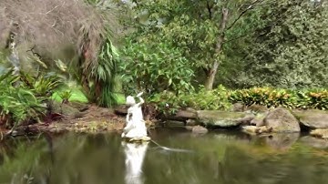 Testing Gaussian Splatting, Fitzroy Gardens, Melbourne, Sony Xperia 1 (II)