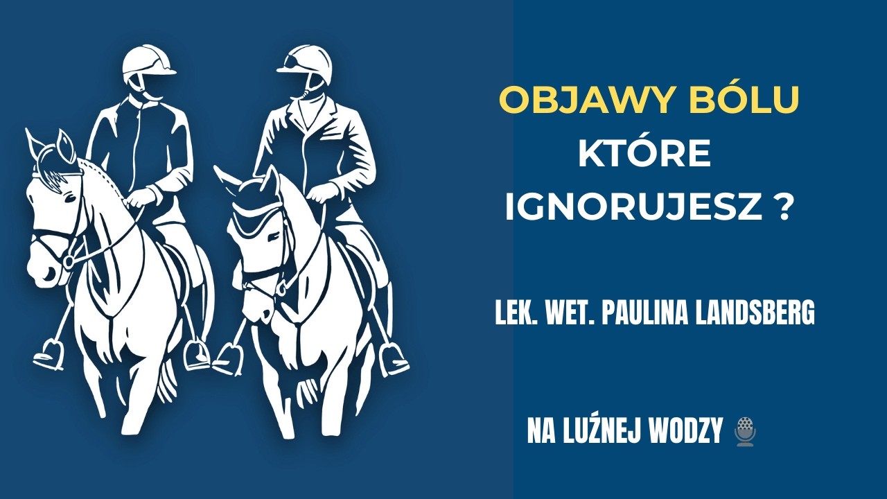 lek. wet. Paulina Landsberg - Koń jest zwierzęciem wybitnie wrażliwym