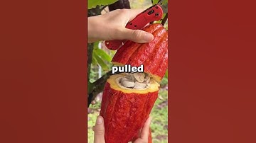 De sergeant zei dat ik "te onervaren" was om de bom onschadelijk te maken. Hij probeerde het toch.