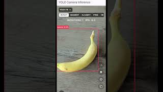 From Bananas to Real Alerts: AI + SIGNL4 in ActionSIGNL4 Image Detection