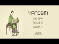 FREE Yangqin Loops (Royalty Free) | Traditional Chinese Instrument for Music Producers | 01