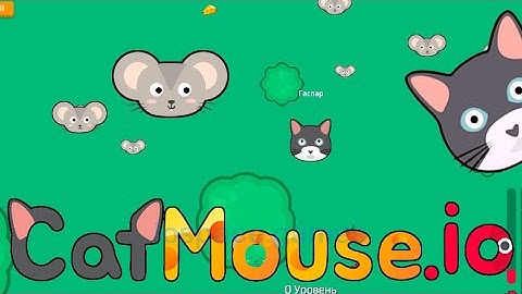 🐰🐭🐥Cat and Mouse .io - All Levels Gameplay Walkthrough (Android,ios)
