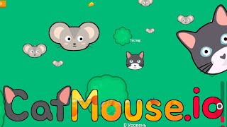 🐰🐭🐥Cat and Mouse .io - All Levels Gameplay Walkthrough (Android,ios) screenshot 5