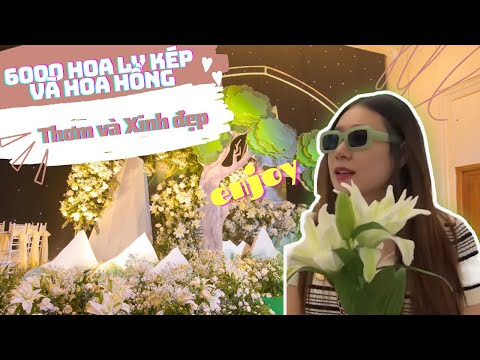 Video Chuẩn bị cho lễ báo hỷ, 6000 hoa ly kép và hoa hồng... - youtube