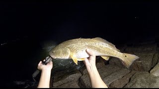 (S3 Ep24) 🔥HOT 🔥NightTime Jetty Action, Surfside Freeport Texas