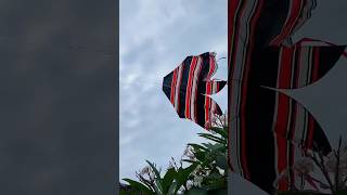 SAYAPNYA SUDAH ROBEK TAPI TETAP MENGUDARA #tradisibali #cotek #layanganbali #layanglayang #art #fyp