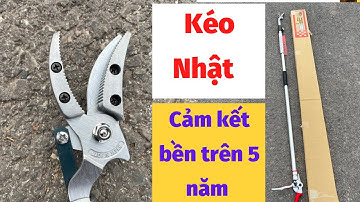 Đây là chiếc kéo cắt cành Nhật bền nhất ,sắc nhất | kéo hái quả trên cao Nhật Bản thương hiệu ARS