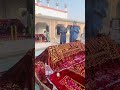Peer Sab Of Shakrila Sharif Video Eid Ulfitar #shorts #viral #youtubeshorts