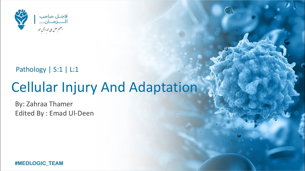 Cellular Injury And Adaptation P1 || Pathology