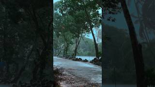 Rainy Peaceful Day In Kerala