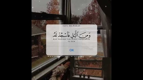 قرآن كريم بصوت اسلام صبحي تلاوة خاشعة ارح قلبك / حالات واتس اب / ستوريات قرآن || Quran status