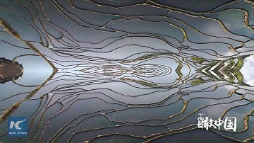 Chiêm ngưỡng ruộng bậc thang đẹp mê hồn ở Vân Nam, Trung Quốc