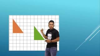 Maths O llevel - Translation