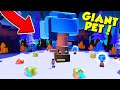 I battled GIANT PETS and got on the LEADERBOARD in Roblox Pet Battle Simulator!