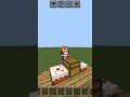 عنوان غلط Minecraft 
