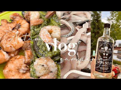 [VLOG] 가을캠핑🍁 원래 캠핑은 먹으려고 하는 거잖아요? 음성 솔부엉이캠핑장, 캠핑요리, 캠핑모임, camping, 낮술, 불멍