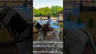 Lioncitoo Vs Pinton.