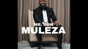 Mr. Bow - Muleza (Áudio Oficial 2024)