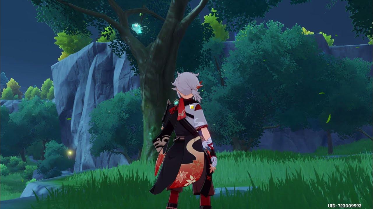 Where to find the seelie at Dawn Winery? Genshin Impact YouTube