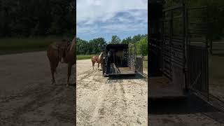 'Pablo' Lot 132 Lolli Sept 3rd Sale