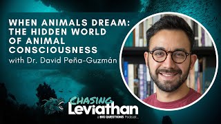 When Animals Dream: The Hidden World of Animal Consciousness with Dr. David Peña-Guzmán #podcast