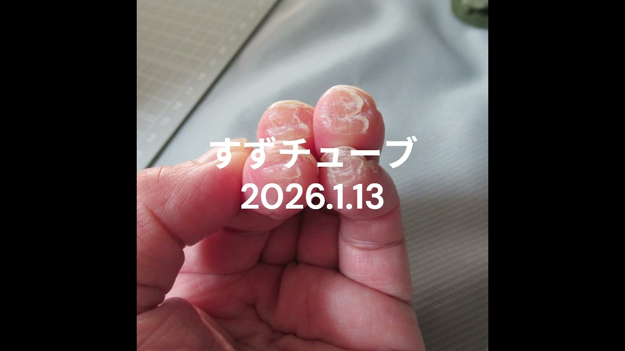 すずチューブ　2026.1.13