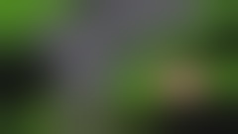 Fe Gun Script / Arceus X Roblox Scripts , S.P.D.M ❤️